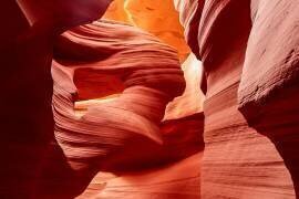 Sculpture naturelle (Shin Woo Ryu) - Muzeo.com