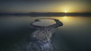 Serenity now (Azriel Yakubovitch) - Muzeo.com