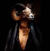 Sherazade (Enza Paoli) - Muzeo.com