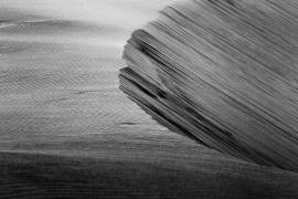 Sound of wind (Tsuneya Fujii) - Muzeo.com