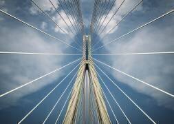 Spider (Nico T) - Muzeo.com