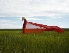 Summer wind (Larisa Usmanova) - Muzeo.com