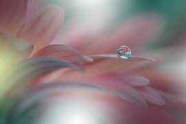Sunbeam..II (Juliana Nan) - Muzeo.com