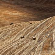 Surfando (Massimo Della Latta) - Muzeo.com