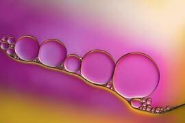 Sweet blush (Heidi Westum) - Muzeo.com