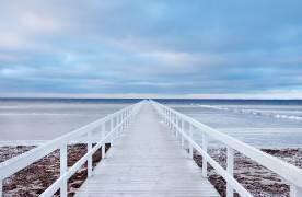The bridge (Jacek Oleksinski) - Muzeo.com