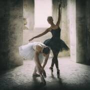 The subtle bow (Roswitha Schleicher-Schwarz) - Muzeo.com