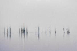 Time out (Roswitha Schleicher-Schwarz) - Muzeo.com