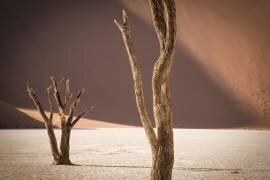 Time textures (Linda Wride) - Muzeo.com