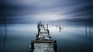 Timeless (Paulo Dias) - Muzeo.com