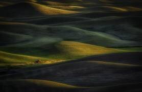 Tractor (Rob Darby) - Muzeo.com