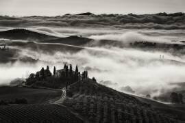 Tuscany (Nina Pauli) - Muzeo.com