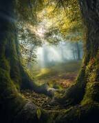 Deux frères (Armin Ramezanzad) - Muzeo.com