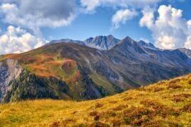 Tyrol (Michael) - Muzeo.com