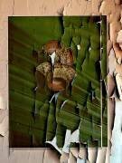 Undefined (Eduardo Llerandi) - Muzeo.com