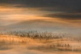 Untitled (Tomasz Rojek) - Muzeo.com