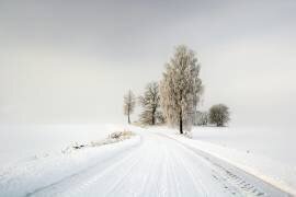 Untitled (Raimundas Bielskis) - Muzeo.com