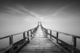 Untitled (Jana) - Muzeo.com