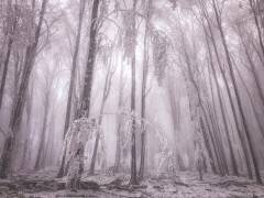 Untitled (Stanislav Hricko) - Muzeo.com