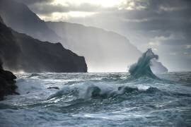 Untitled (Ali Rismanchi) - Muzeo.com