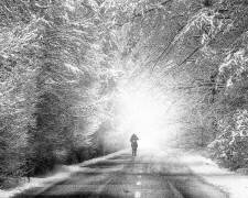 Sans titre (Stanislav Hricko) - Muzeo.com