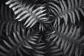 Untitled #56 (Gary E. Karcz) - Muzeo.com