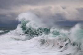 Wave (Paolo Bolla) - Muzeo.com