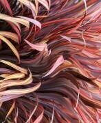 Wind Dancing (Robin Wechsler) - Muzeo.com