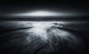 Wipe Out (Aidong Ning) - Muzeo.com