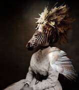 Zebra Wings (Enza Paoli) - Muzeo.com
