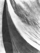 Etoffe (Tina Modotti) - Muzeo.com