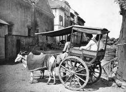 Bombay Hackery (Francis Frith) - Muzeo.com