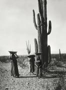 Indiennes Maricopas (Edward S. Curtis) - Muzeo.com