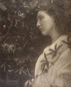 Maud (Julia Margaret Cameron) - Muzeo.com
