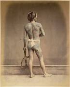 Palefrenier tatoué (Felice Beato) - Muzeo.com