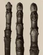 Aesculus Parviflora (Karl Blossfeldt) - Muzeo.com