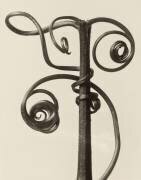 Cucurbita (Karl Blossfeldt) - Muzeo.com