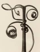 Cucurbita (Karl Blossfeldt) - Muzeo.com